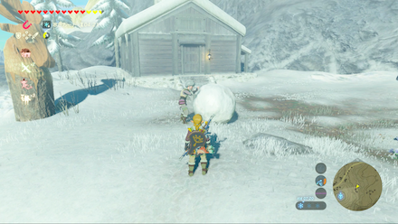 ブレスオブザワイルド　ポンドの場所