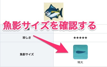魚影サイズを確認する