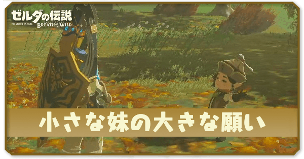 ブレワイの小さな妹の大きな願い攻略