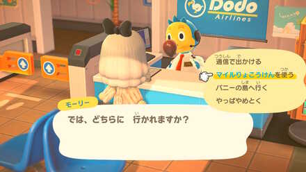 離島ツアーに行く