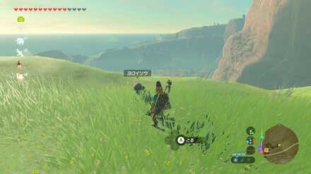 ブレワイの小さな妹の大きな願い攻略