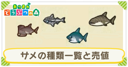 サメの種類一覧と売値
