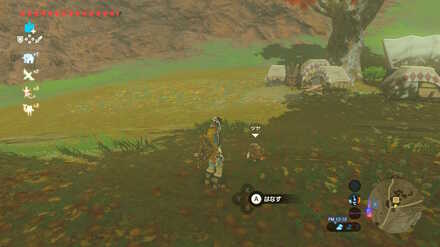 ブレワイの小さな妹の大きな願い攻略