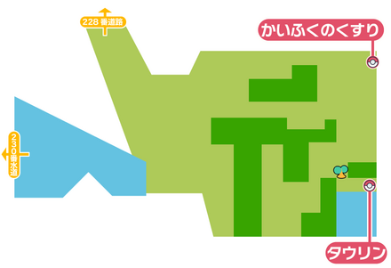 ポケモンダイパリメイクの229番道路