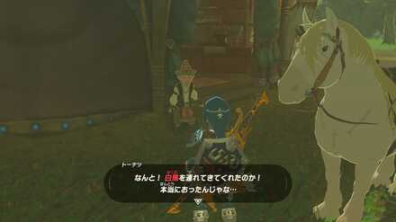 ブレワイの王家の白馬攻略