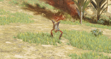 サンドティノスの画像