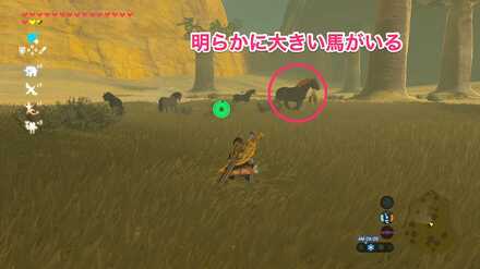 ブレワイの巨大馬捕獲大作戦攻略