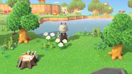 離島ツアーで勧誘する