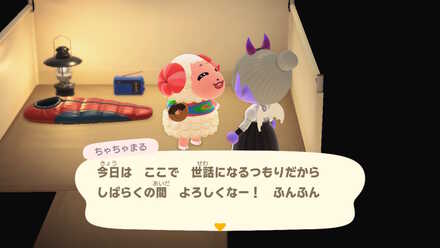 キャンプサイトで勧誘する