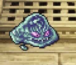 ジェルフィッシュ画像