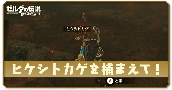 ブレワイのヒケシトカゲを捕まえて！攻略