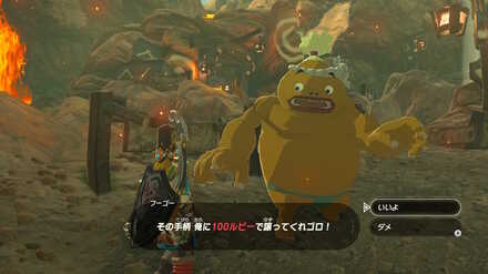 ブレワイの免許皆伝への道攻略