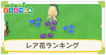 レア花ランキング