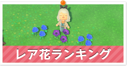 レア花ランキング