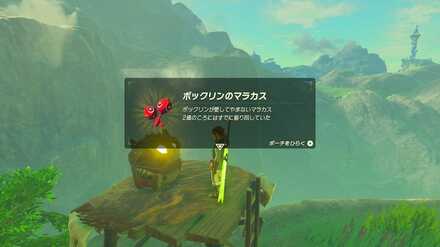 ブレワイの大事なマラカス攻略