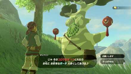 ブレワイの大事なマラカス攻略