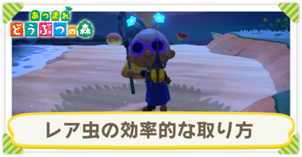 レア虫の効率的な取り方