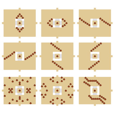 ポケモンダイパリメイクの戻りの洞窟迷路1