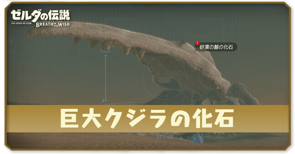 ブレワイの巨大クジラの化石攻略