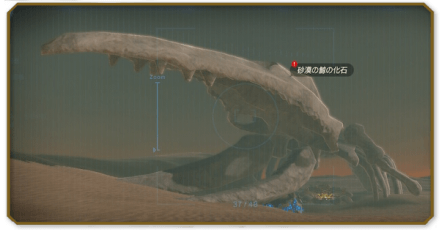 巨大クジラの化石