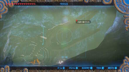 ブレワイの巨大クジラの化石攻略