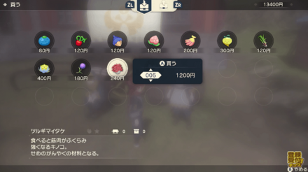 アイテムを販売している