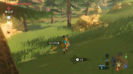 ブレワイの王家秘伝のレシピ攻略