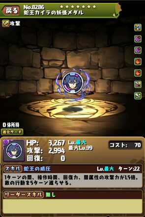 蛇王カイラ装備