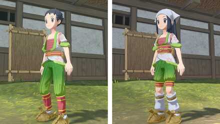 着物セットシェイミ