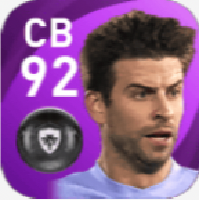 FPピケ(1/6)の画像