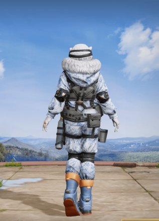 極地フィッシング画像