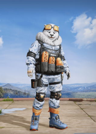 極地フィッシング画像