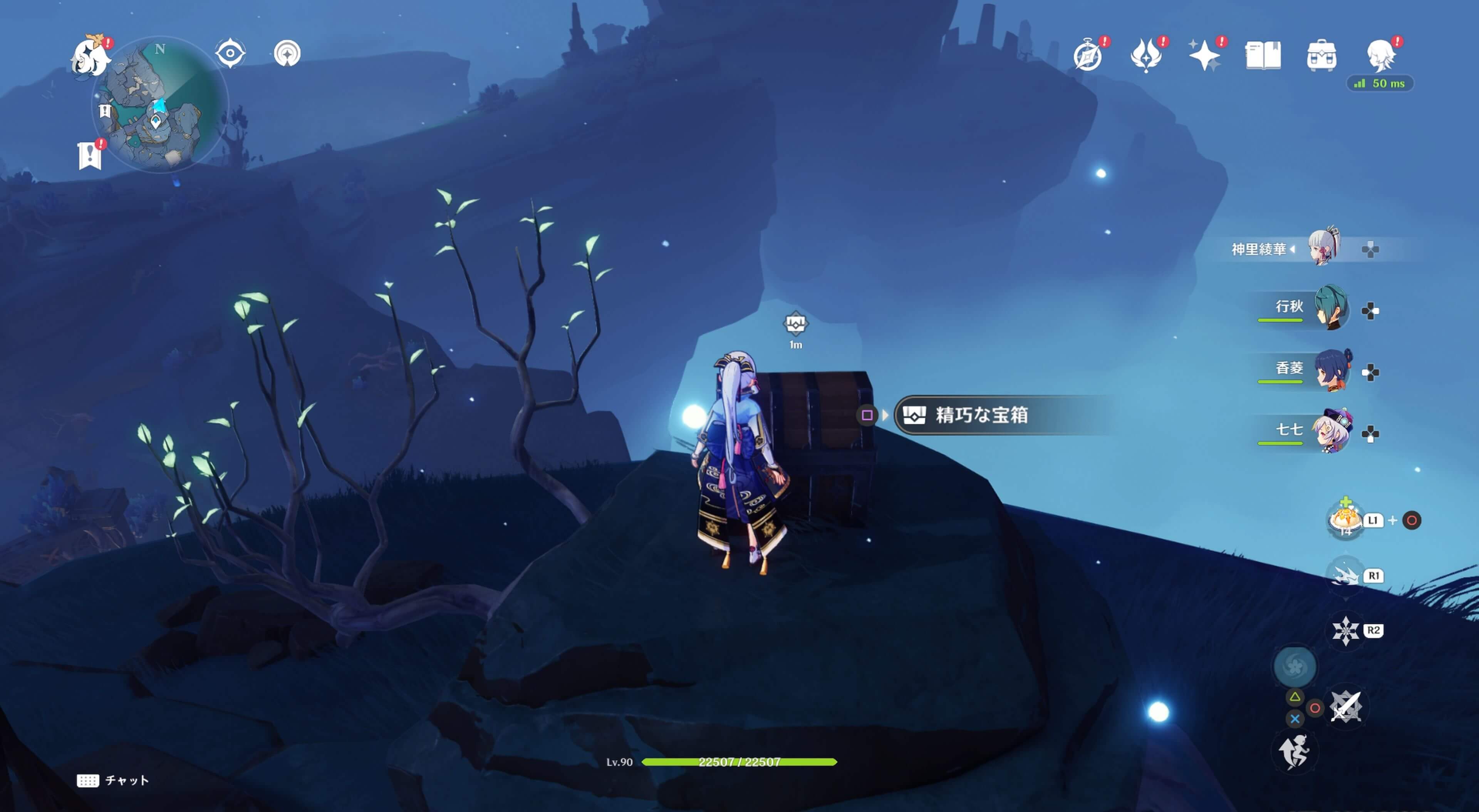 対応する鍵紋を2個使用し解放すると岩の上の宝箱が開放される