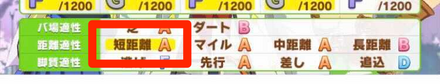 オグリキャップ適性上げ