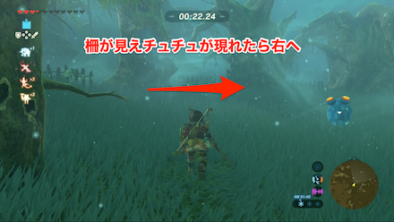 ブレスオブザワイルド　①の場所