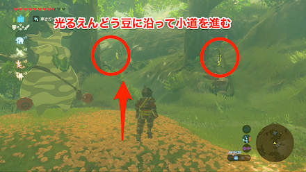 ブレスオブザワイルド　ボックリン左手の小道に進む