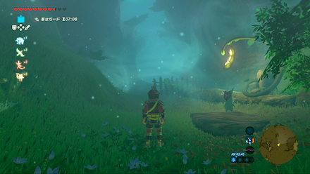 ブレスオブザワイルド　ダミダミの場所