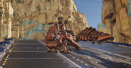 アルマロンゴの画像