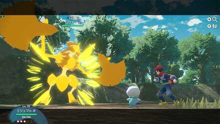 ポケモンを繰り出してバトルを行う