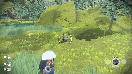 ポケモンに狙いを定めてボールを投げる