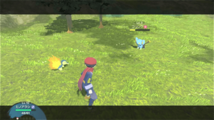 バトルで弱らせて捕まえる