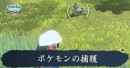 ポケモン捕獲のコツと捕まえ方