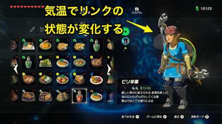 ブレワイの初心者が知っておくべきこと