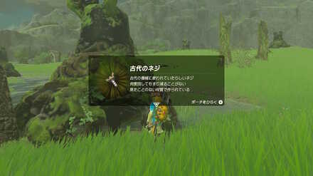 ブレワイの初心者が知っておくべきこと