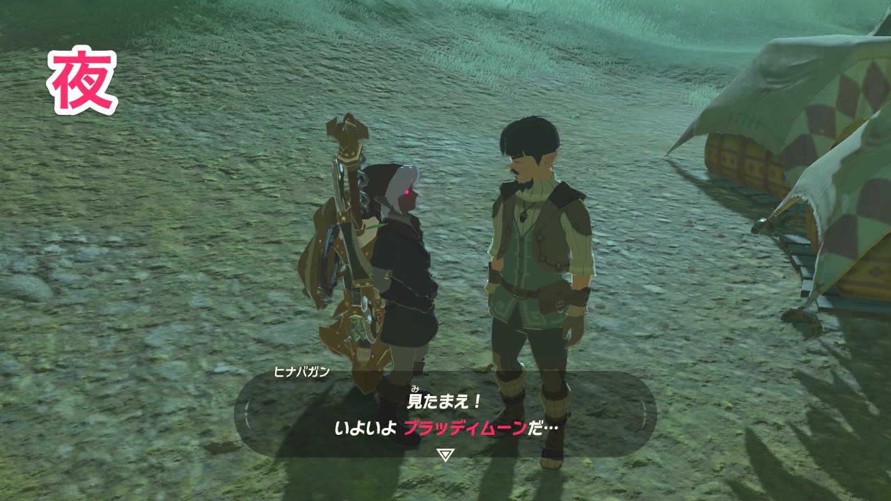 夜のヒナバガン