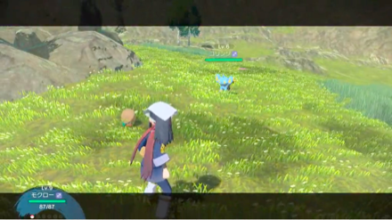 手持ちのポケモンを近くに投げるとバトル開始