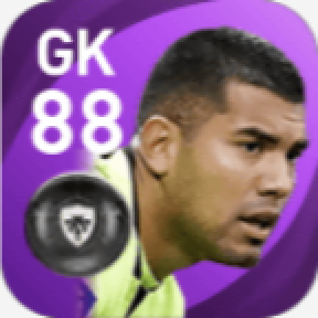 FPワルテル・ベニテス(1/13)の画像