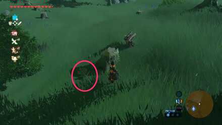 木を切り倒してコログのうちわを入手