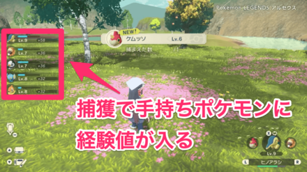 捕獲で経験値が入る