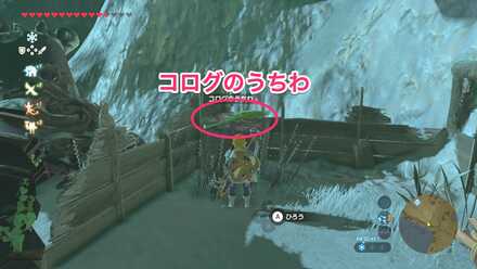 コログのうちわ入手場所